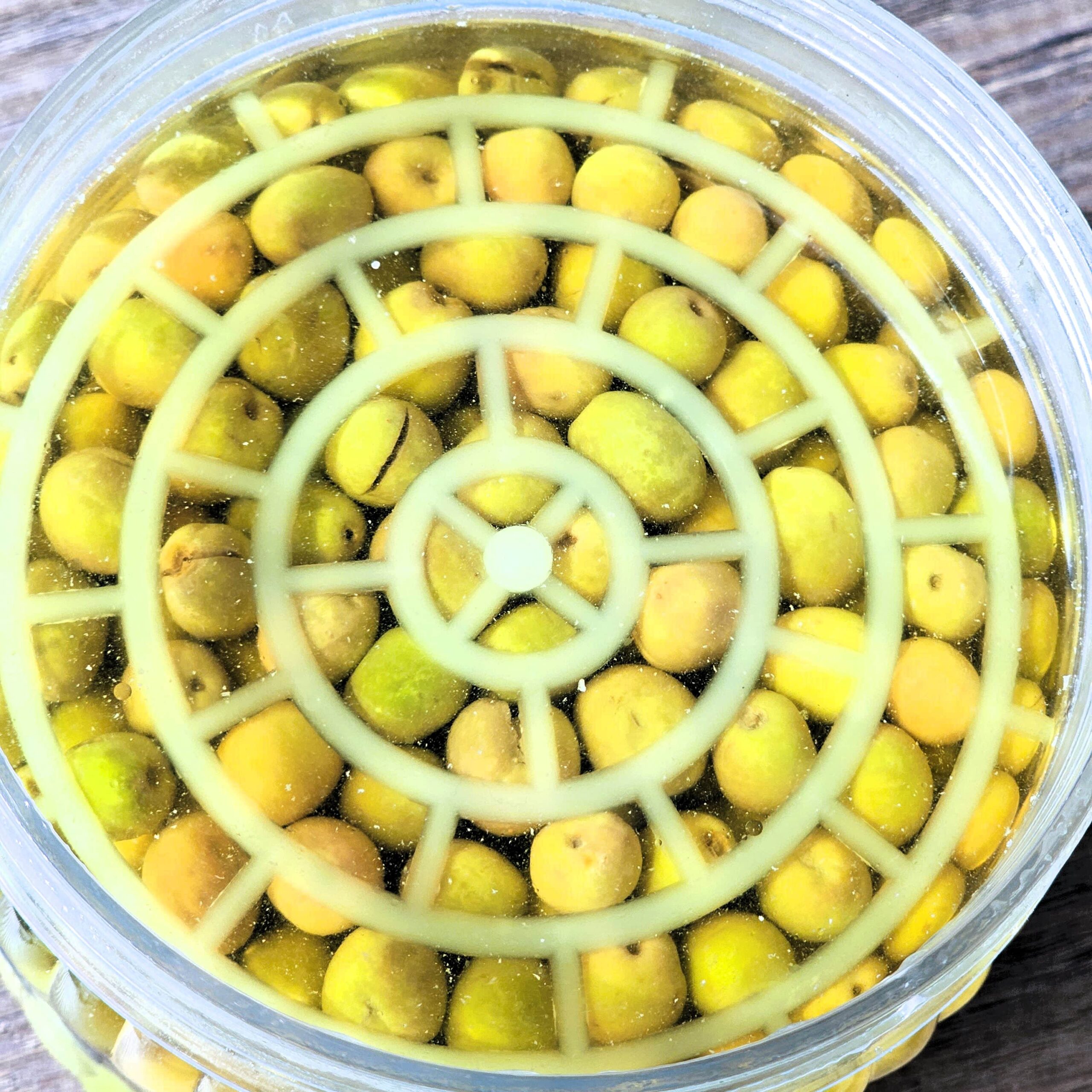 GLAMOR MİNİK HALHALI KIRMA YEŞİL 1 KG - Görsel 2