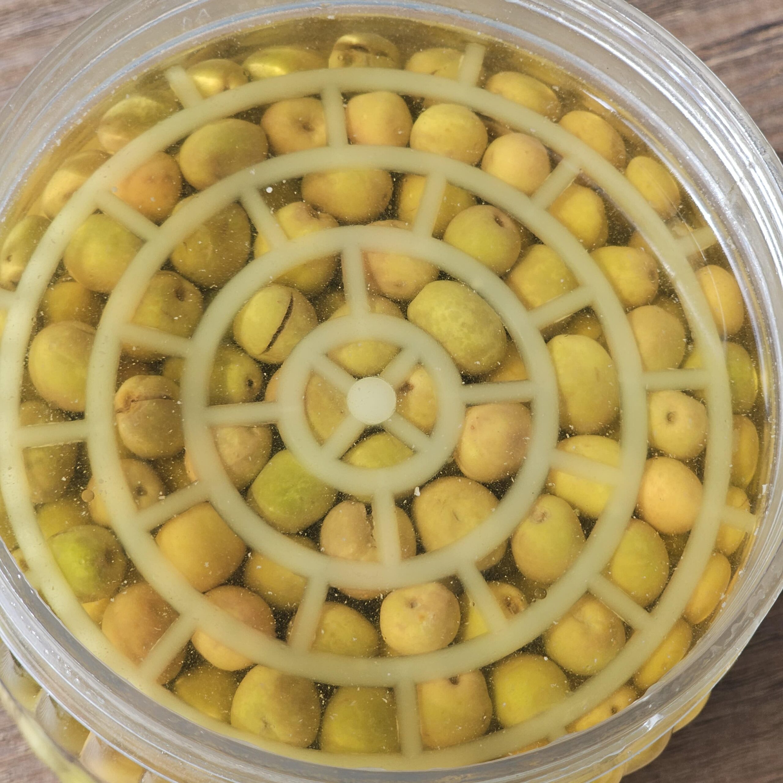 GLAMOR HALHALI MİNİK KIRMA YEŞİL ZEYTİN 2 KG - Görsel 2